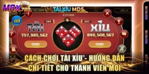 Cách Chơi Tài Xỉu - Hướng Dẫn Chi Tiết Cho Thành Viên Mới